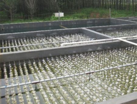 点击查看详细信息<br>标题：养殖污水处理 阅读次数：2417